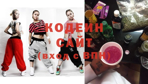 индика Алзамай