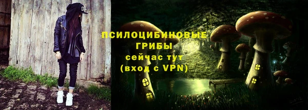 амфетамин Алексеевка